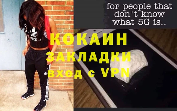 дживик Абаза