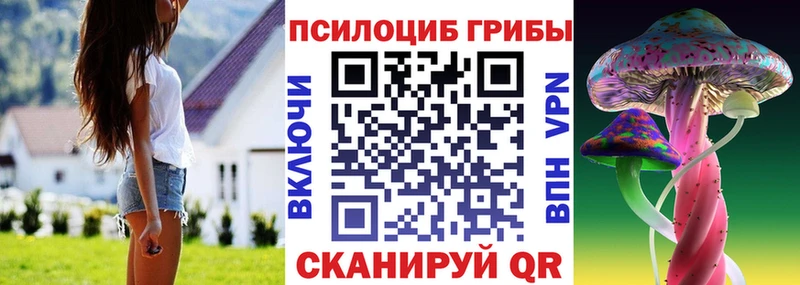 хочу Богородицк Псилоцибиновые грибы мухоморы